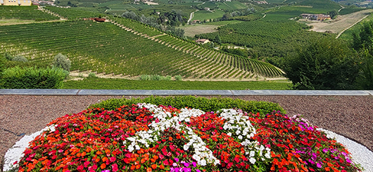 View of the Roero wine region.